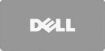 dell 2